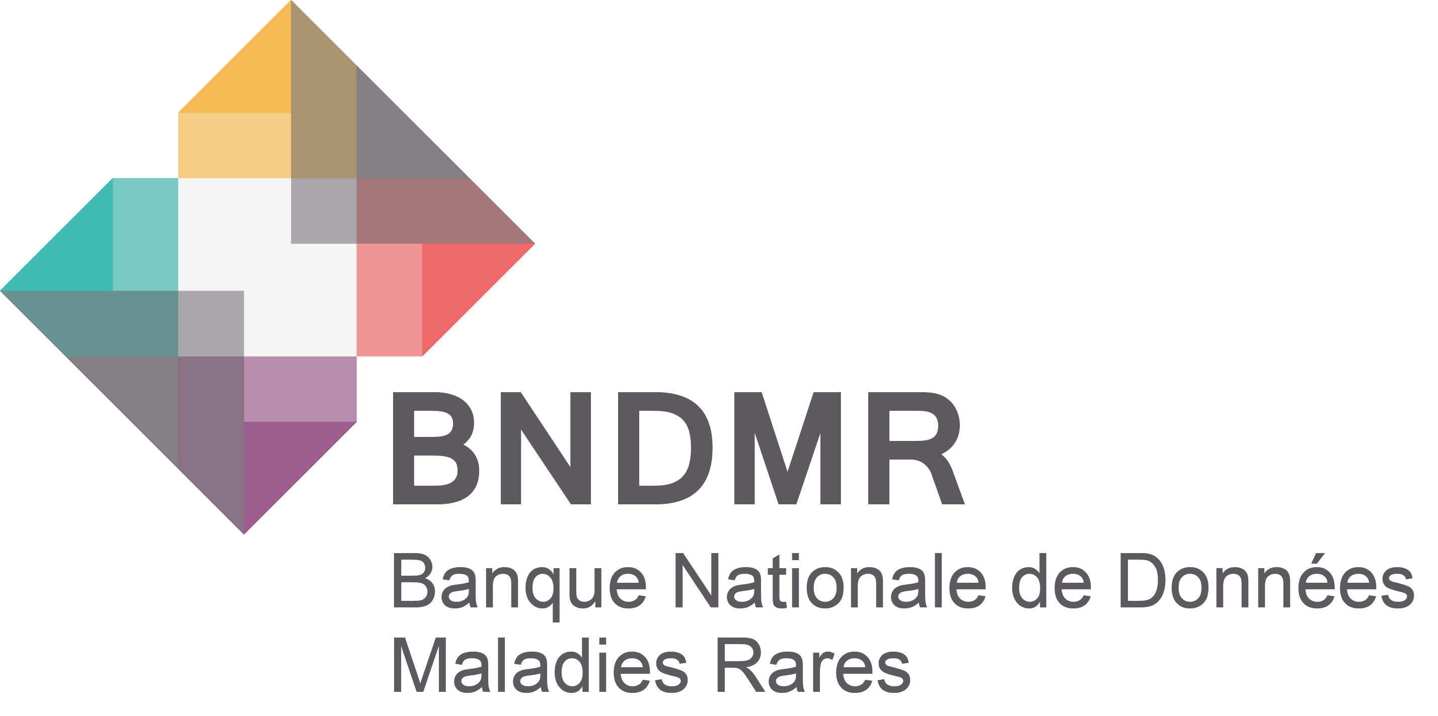 LogoBNDMR web